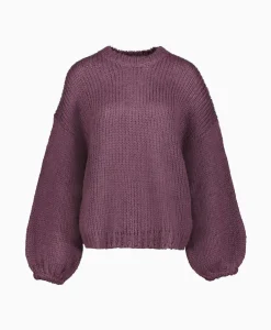 Best Sale Pullover 233-1670-23379 Paars Dames Truien
